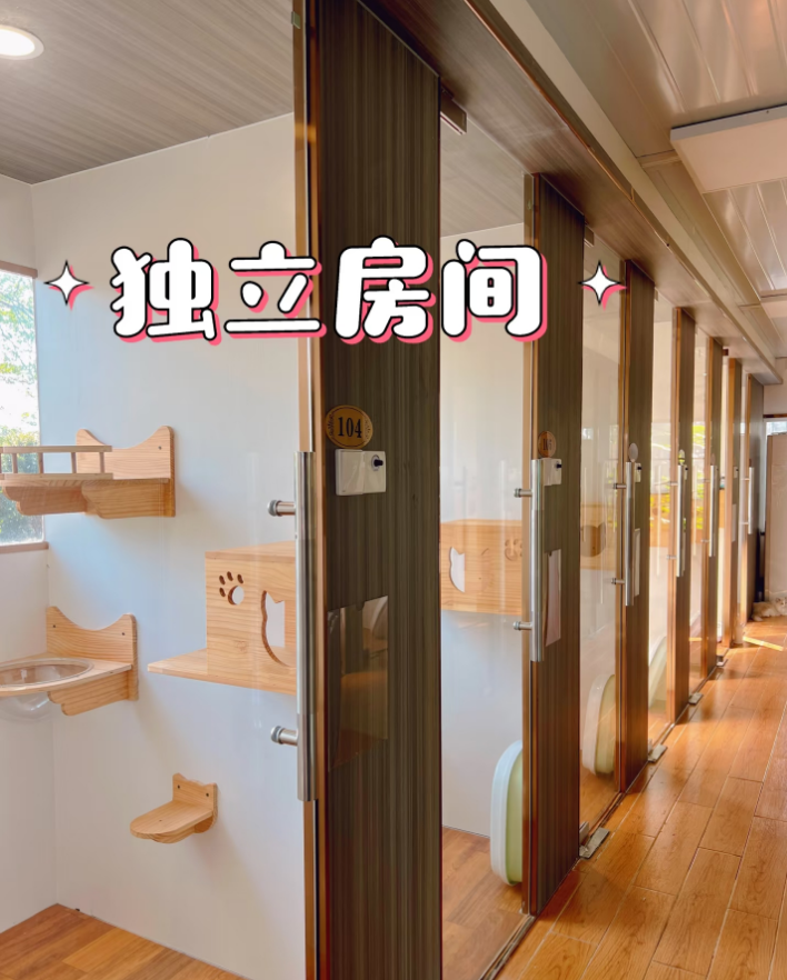 湛江宠物